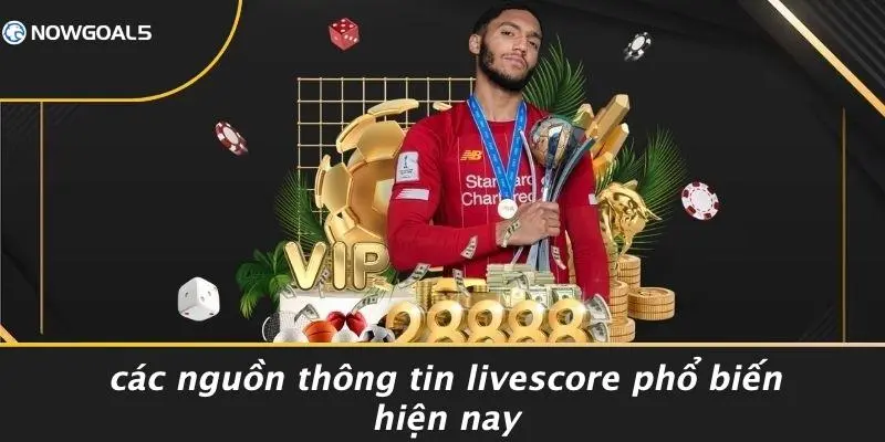 Các Nguồn Thông Tin LiveScore Phổ Biến Hiện Nay