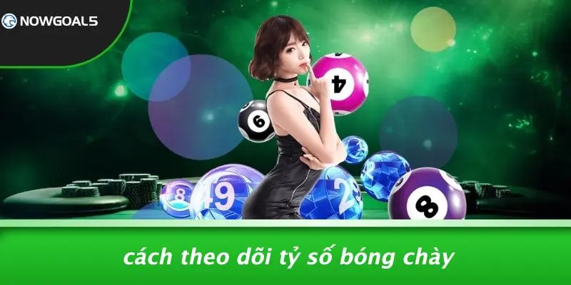 Cách Theo Dõi Tỷ Số Bóng Chày