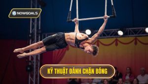 Kỹ thuật đánh chặn bóng