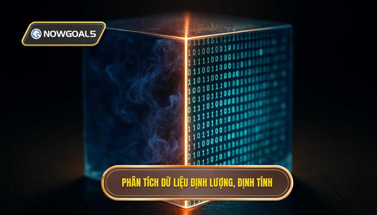 Phân tích dữ liệu định lượng và định tính