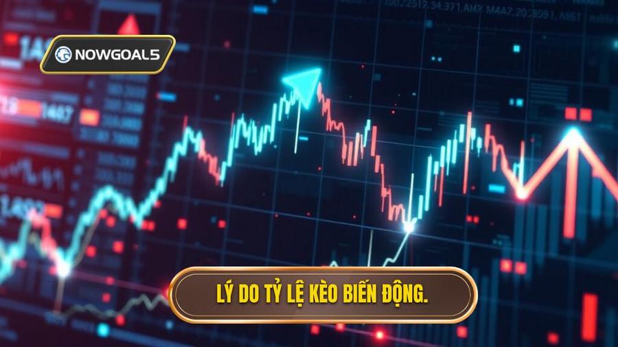 Tại sao tỷ lệ kèo biến động liên tục?