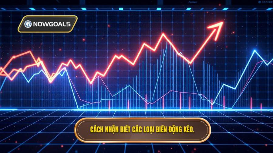 Cách nhận biết các loại biến động kèo phổ biến